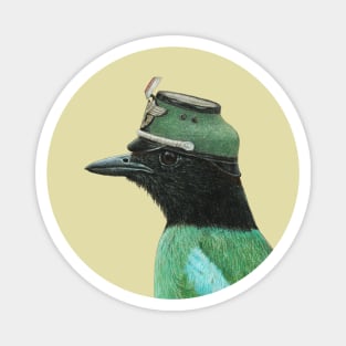 Hooded pitta Magnet